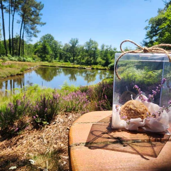 Bougie-en-cire-d'abeille-2